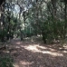 Pollença property: Pollença, Spain Land 214425