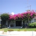 Malaga, Spain Villa 214471