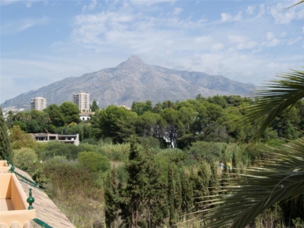 Nueva Andalucia property: Villa for sale in Nueva Andalucia 214473