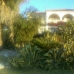 Coin property: Malaga Villa, Spain 214475