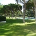 Puerto Banus property: Puerto Banus, Spain Apartment 214507