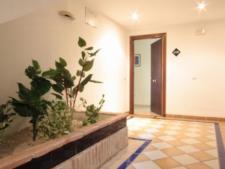 town Apartment 214511