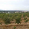 Palma De Mallorca property: Villa for sale in Palma De Mallorca 214523
