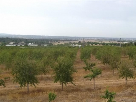 Palma De Mallorca property: Villa for sale in Palma De Mallorca 214523