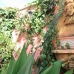 Marbella property: Townhome in Marbella 214550