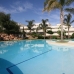 Nueva Andalucia property: Malaga, Spain Apartment 214556
