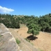 Villa in Malaga 214572