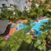 Puerto Banus property: Apartment in Malaga 214581