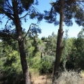 Benalmádena property: Land for sale in Benalmádena 214582