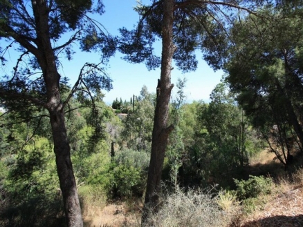 Benalmádena property: Land for sale in Benalmádena 214582