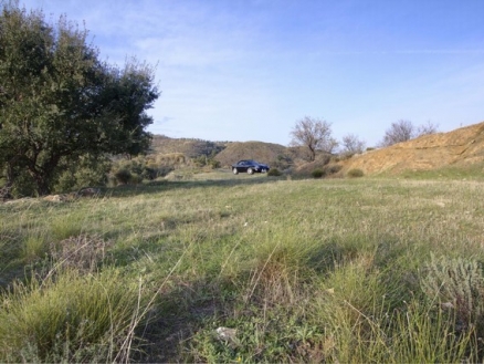 Monda property: Land for sale in Monda 214593