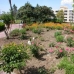 Aloha property: Beautiful Apartment for sale in Malaga 214650