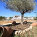 New Golden Mile property: 3 bedroom Apartment in Malaga 214653