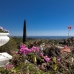 Marbella property: Malaga, Spain Villa 214706
