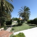 1 bedroom Apartment in town, Spain 214732