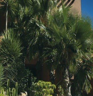 Benahavis property: Malaga property | 2 bedroom Apartment 214746