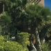 Benahavis property: Benahavis Apartment, Spain 214746