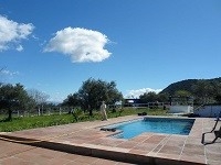 Coin property: Malaga Villa 214756