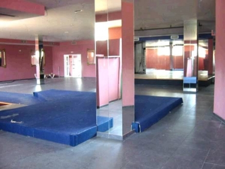 Nueva Andalucia property: Commercial for sale in Nueva Andalucia, Spain 214778
