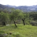 Monda property: bedroom Land in Monda, Spain 214779