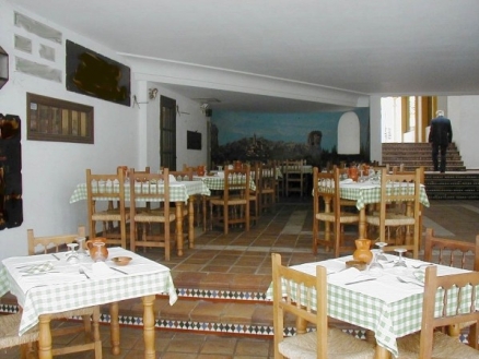 Puerto Banus property: Commercial in Malaga for sale 214784