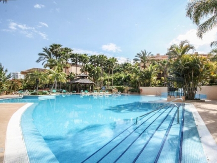 Rio Real property: Apartment for sale in Rio Real 214791