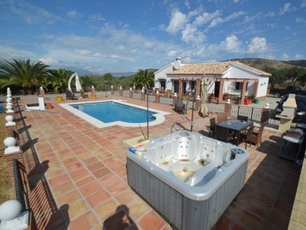 Alhaurin El Grande property: Villa for sale in Alhaurin El Grande 214804