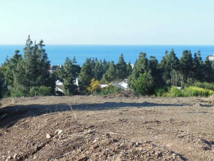 El Chaparral property: El Chaparral, Spain | Land for sale 214832