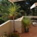 Rio Real property: Apartment in Rio Real 214855