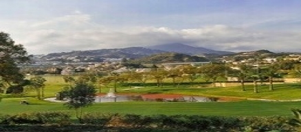Nueva Andalucia property: Malaga Villa 214885