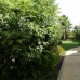 Estepona property: Beautiful Apartment for sale in Estepona 214922