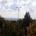 Torrevieja property: Apartment in Torrevieja 214954