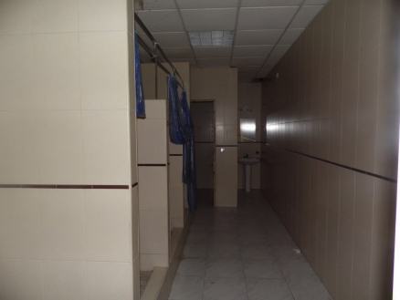 Estepona property: Malaga Commercial 214958