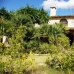 Pollença property: Pollença Villa, Spain 214961