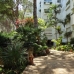Marbella property: Malaga Apartment, Spain 214994