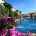 Nueva Andalucia property: Apartment for sale in Nueva Andalucia 215014