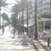 Marbella property: Commercial in Marbella 215028