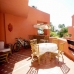 Estepona property: Apartment in Estepona 215063