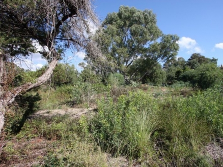 Elviria property: Malaga property | bedroom Land 215067