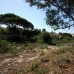 Elviria property: Elviria, Spain Land 215067