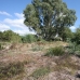 Elviria property: Land in Elviria 215067