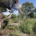 Elviria property: Elviria Land, Spain 215067