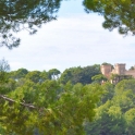 Bendinat property: Studio for sale in Bendinat 215089