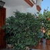 Marbella property: Marbella Villa, Spain 215107