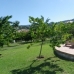 Alhaurin De La Torre property: 6 bedroom Villa in Malaga 215165