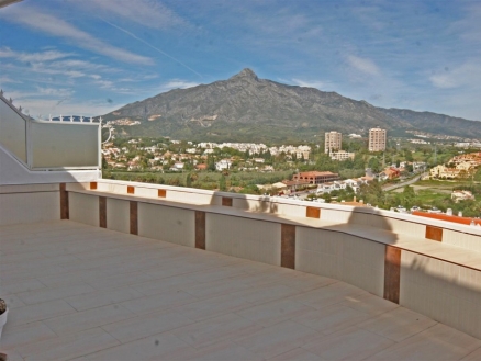 Nueva Andalucia property: Nueva Andalucia Apartment 215183