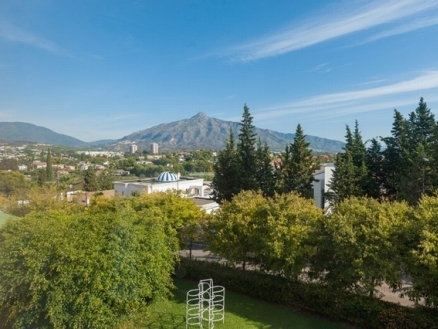 Nueva Andalucia property: Apartment with 3 bedroom in Nueva Andalucia, Spain 215214