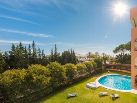 Nueva Andalucia property: Nueva Andalucia Apartment 215214