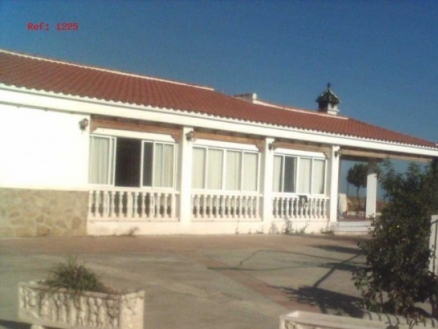 Villa with 4 bedroom in town 215219