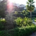Nueva Andalucia property: Apartment for sale in Nueva Andalucia 215277